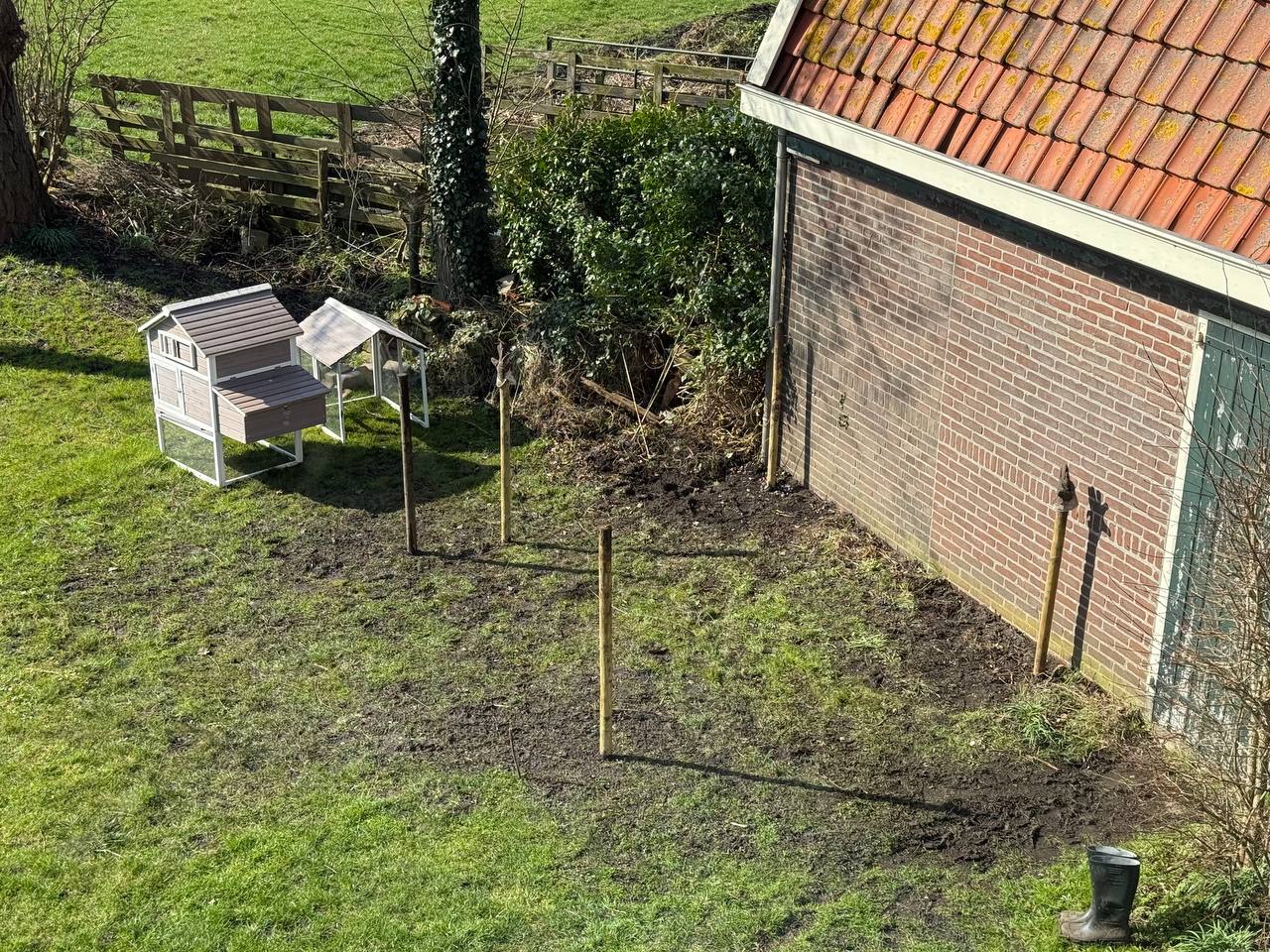 Chicken area with chicken coop inside it
